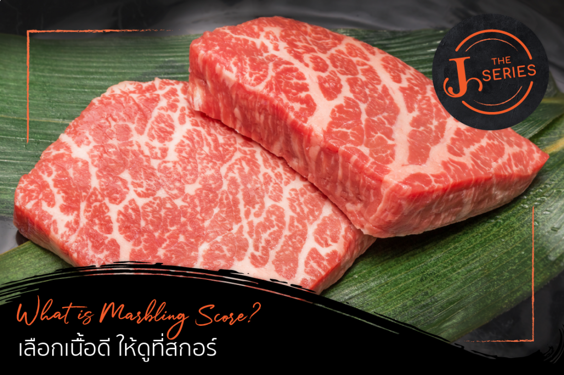 J The Series : Meat EP.3 What is Beef Marbling Score? เลือกเนื้อดี ให้ดูที่สกอร์