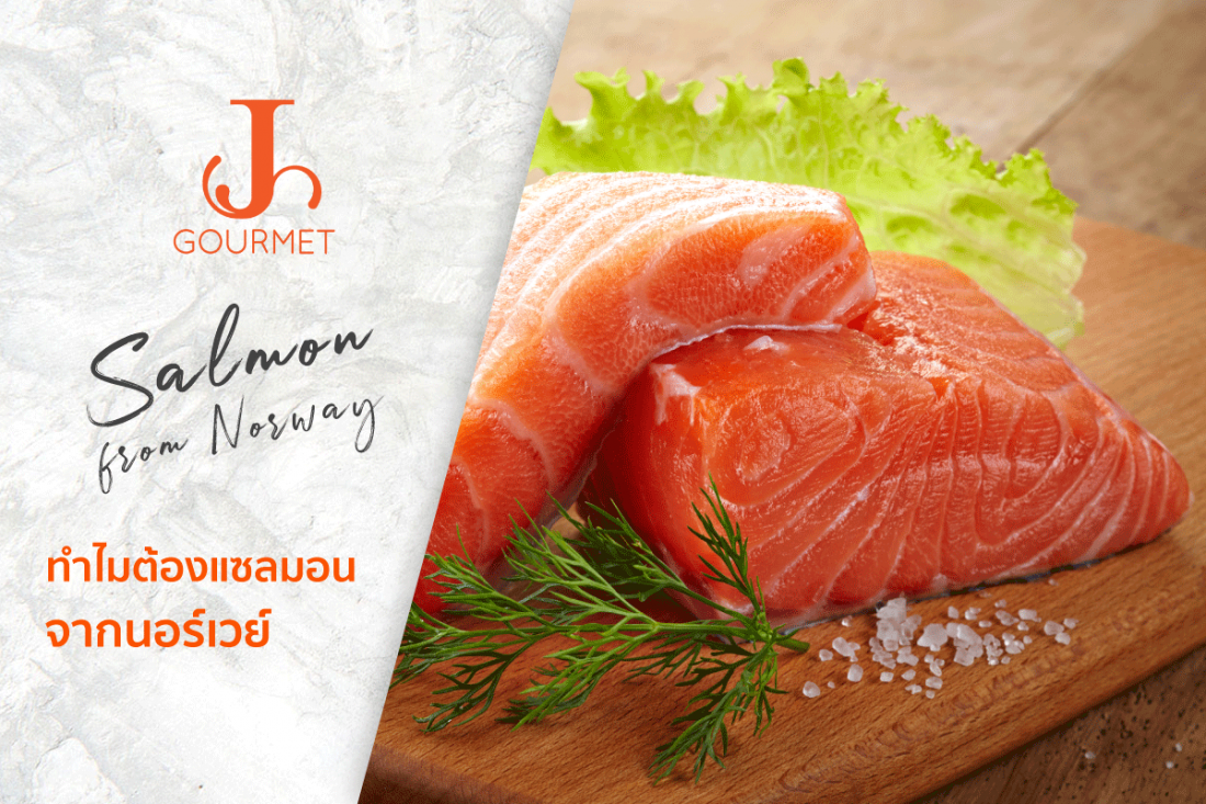 Fresh Salmon เป็นความโชคดีของคนไทย ได้กินแซลมอนสดกว่าคนนอร์เวย์