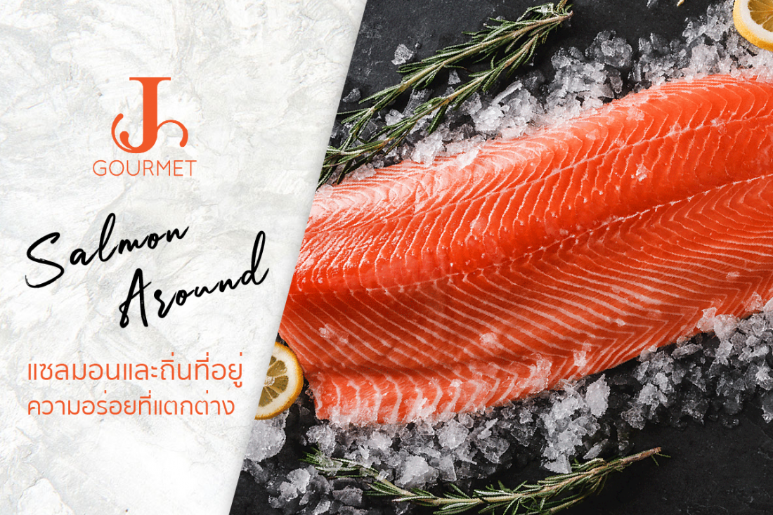 Salmon Around แซลมอนและถิ่นที่อยู่ ความอร่อยที่แตกต่างจากทั่วโลก