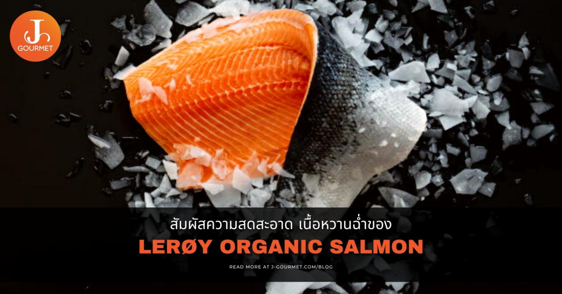 สัมผัสความสดสะอาด เนื้อหวานฉ่ำของ Lerøy Organic Salmon จากนอร์เวย์