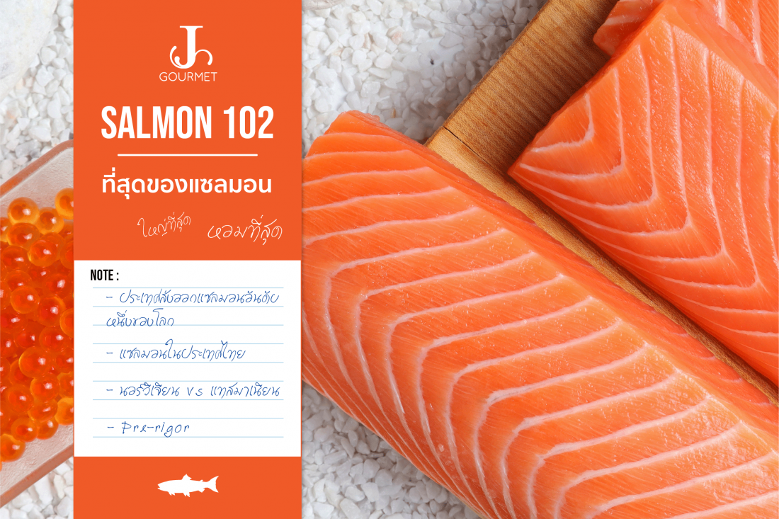 J the series : Salmon 102 ที่สุดของแซลมอน